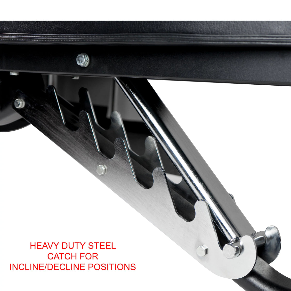 Positions Fitness – -DD-40 Black Duty Flat, Nylon and Weight Bench Incline, Adjustable Including Bench Press, 7 Valor Decline with Wheels Heavy
