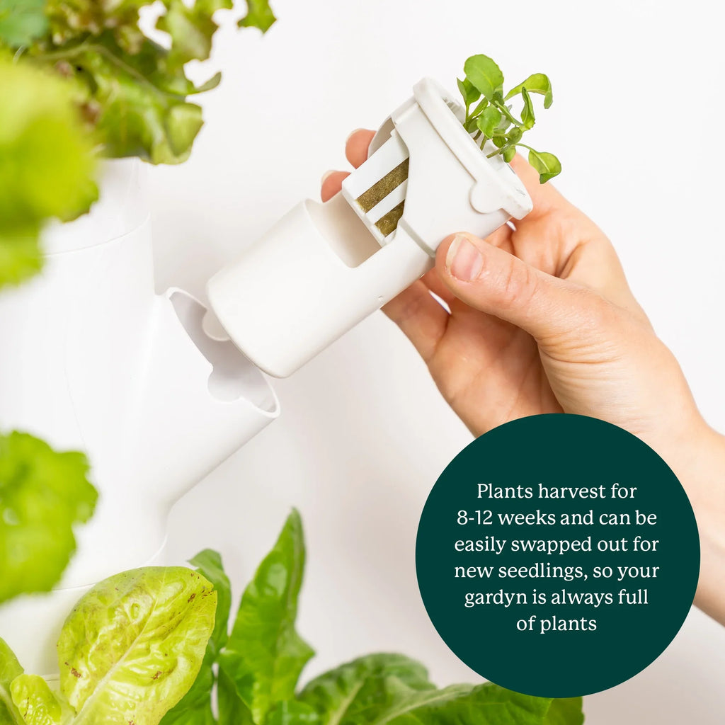 Indoor System System & & | Grow Plants, Smart Lights Garden| Home Gardyn Non-GMO Indoor Vertical Your Garden for 30 Vegetables Gardening LED Herbs & Includes Planter Indoor 3.0 Growing Hydroponics