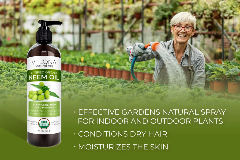 Cold Use Velona 32 and Natural Carrier Oil oz Today | - Unrefined, Body | | USDA Skin and | - Oil Certified 100% Hair, Organic Pure Virgin, Neem Results Pressed Enjoy Care