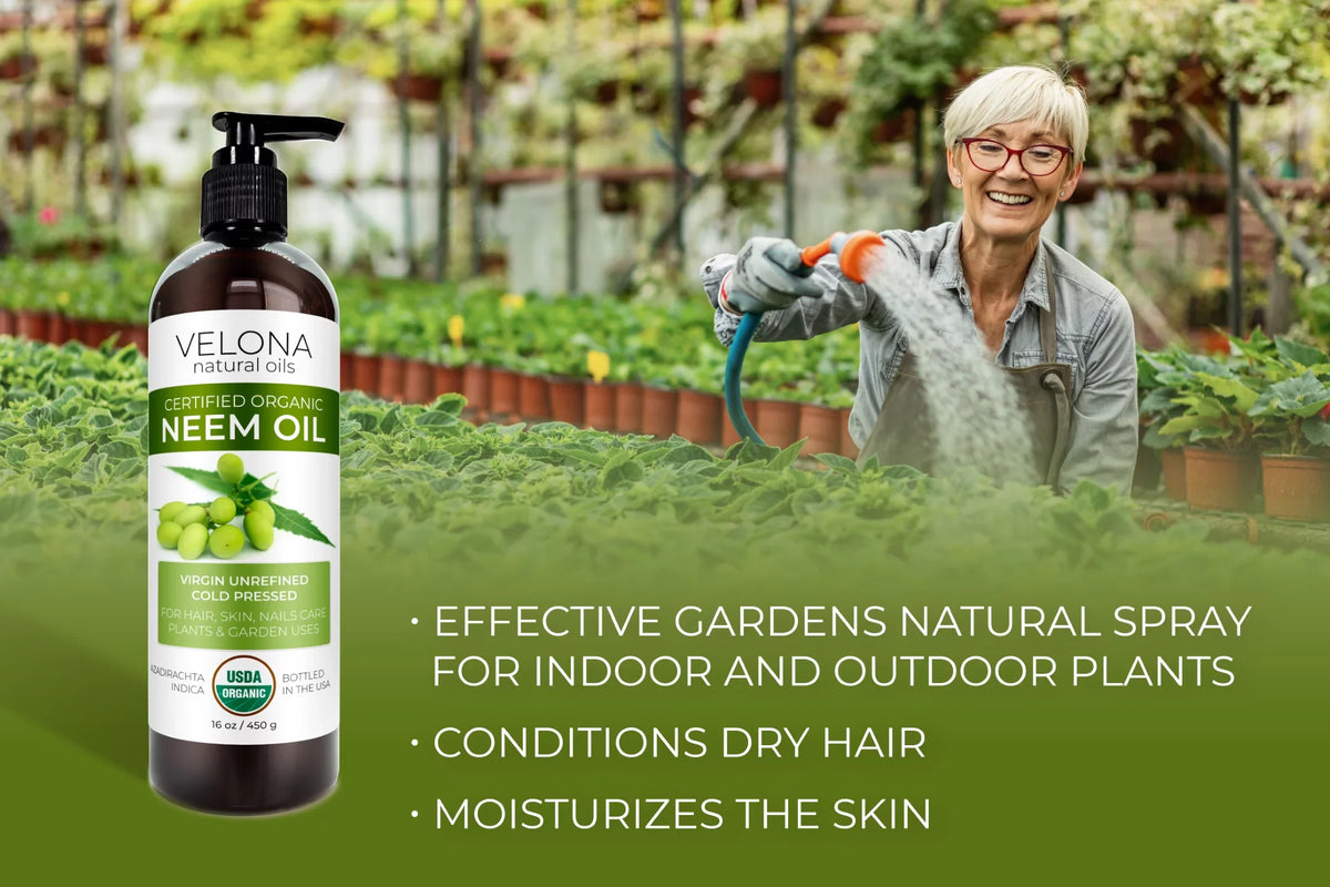 Cold Use Velona 32 and Natural Carrier Oil oz Today | - Unrefined, Body | | USDA Skin and | - Oil Certified 100% Hair, Organic Pure Virgin, Neem Results Pressed Enjoy Care