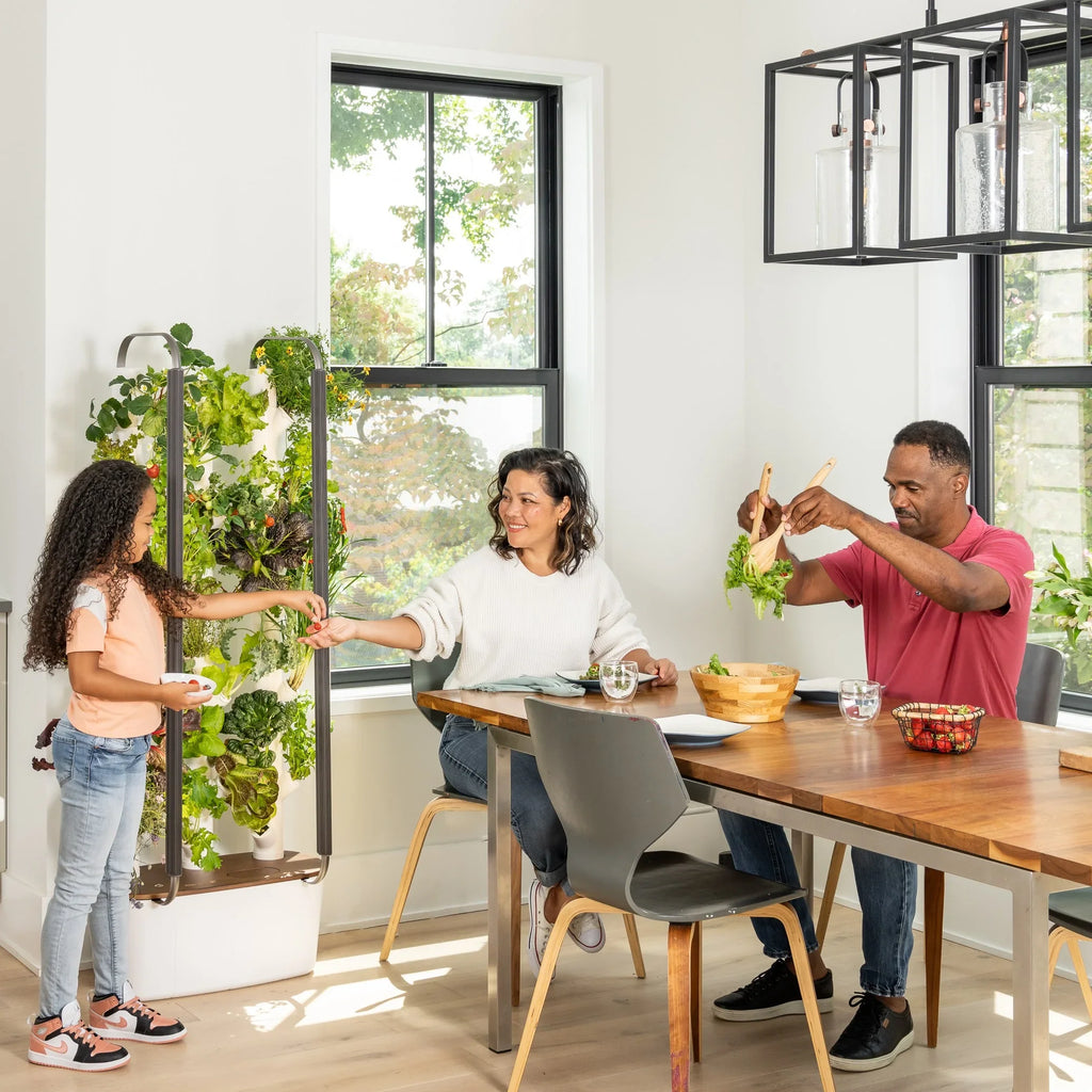Indoor System System & & | Grow Plants, Smart Lights Garden| Home Gardyn Non-GMO Indoor Vertical Your Garden for 30 Vegetables Gardening LED Herbs & Includes Planter Indoor 3.0 Growing Hydroponics