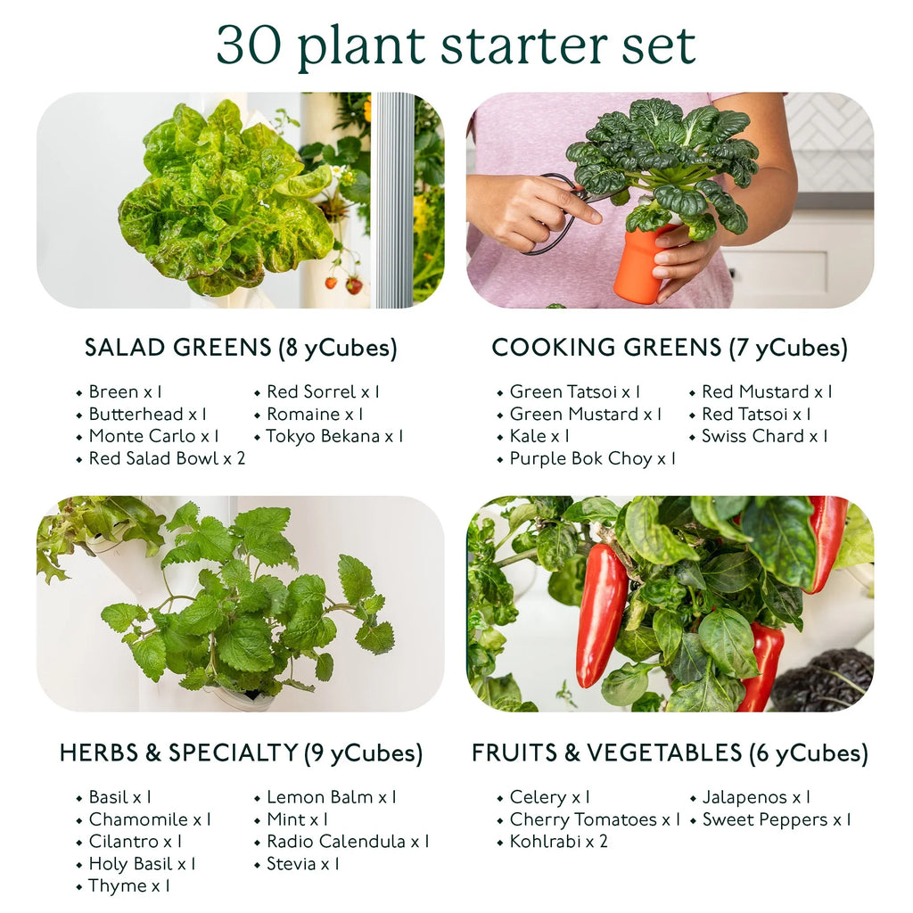Indoor System System & & | Grow Plants, Smart Lights Garden| Home Gardyn Non-GMO Indoor Vertical Your Garden for 30 Vegetables Gardening LED Herbs & Includes Planter Indoor 3.0 Growing Hydroponics