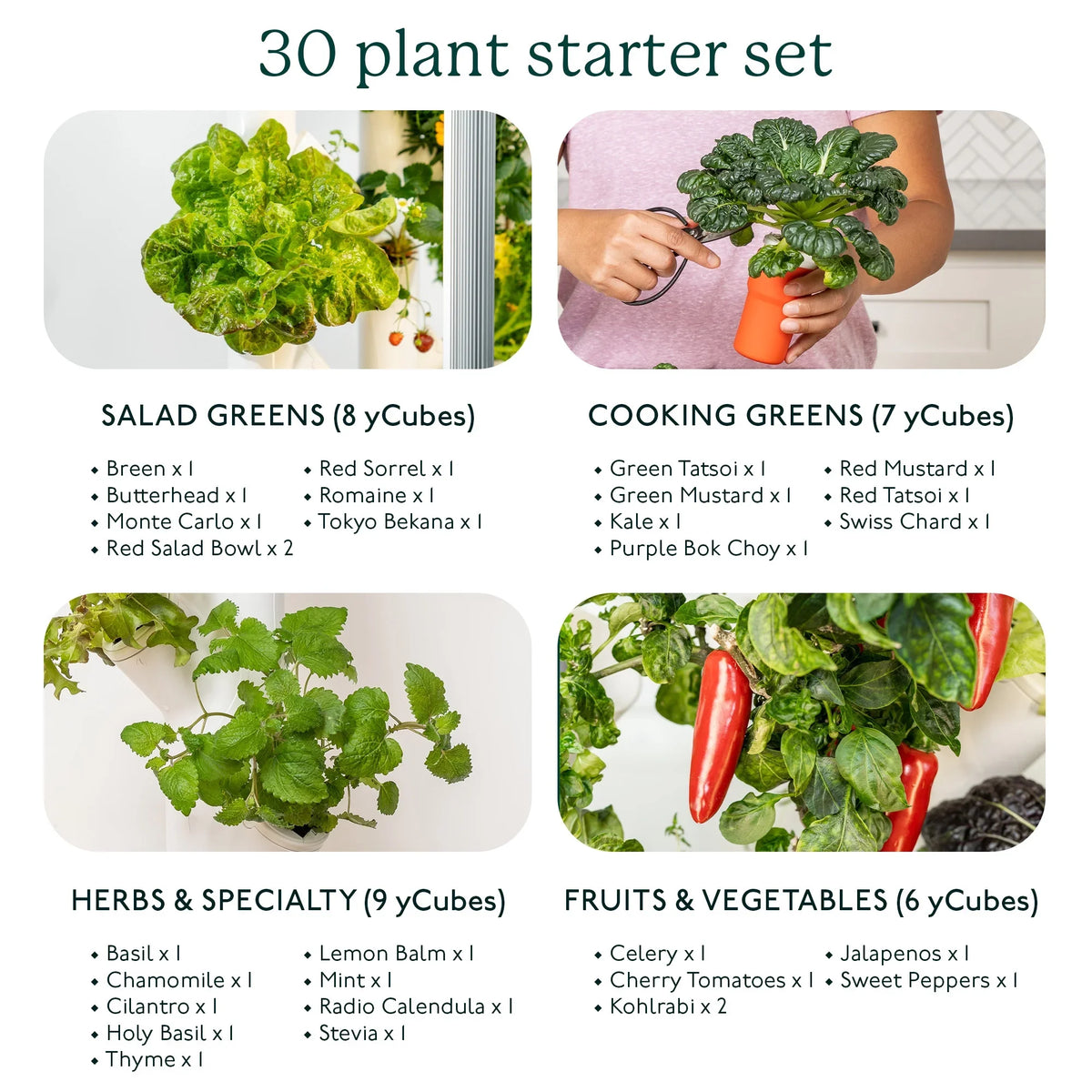 Indoor System System & & | Grow Plants, Smart Lights Garden| Home Gardyn Non-GMO Indoor Vertical Your Garden for 30 Vegetables Gardening LED Herbs & Includes Planter Indoor 3.0 Growing Hydroponics