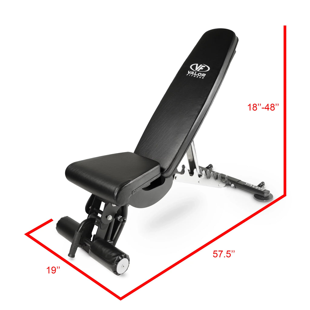 Positions Fitness – -DD-40 Black Duty Flat, Nylon and Weight Bench Incline, Adjustable Including Bench Press, 7 Valor Decline with Wheels Heavy