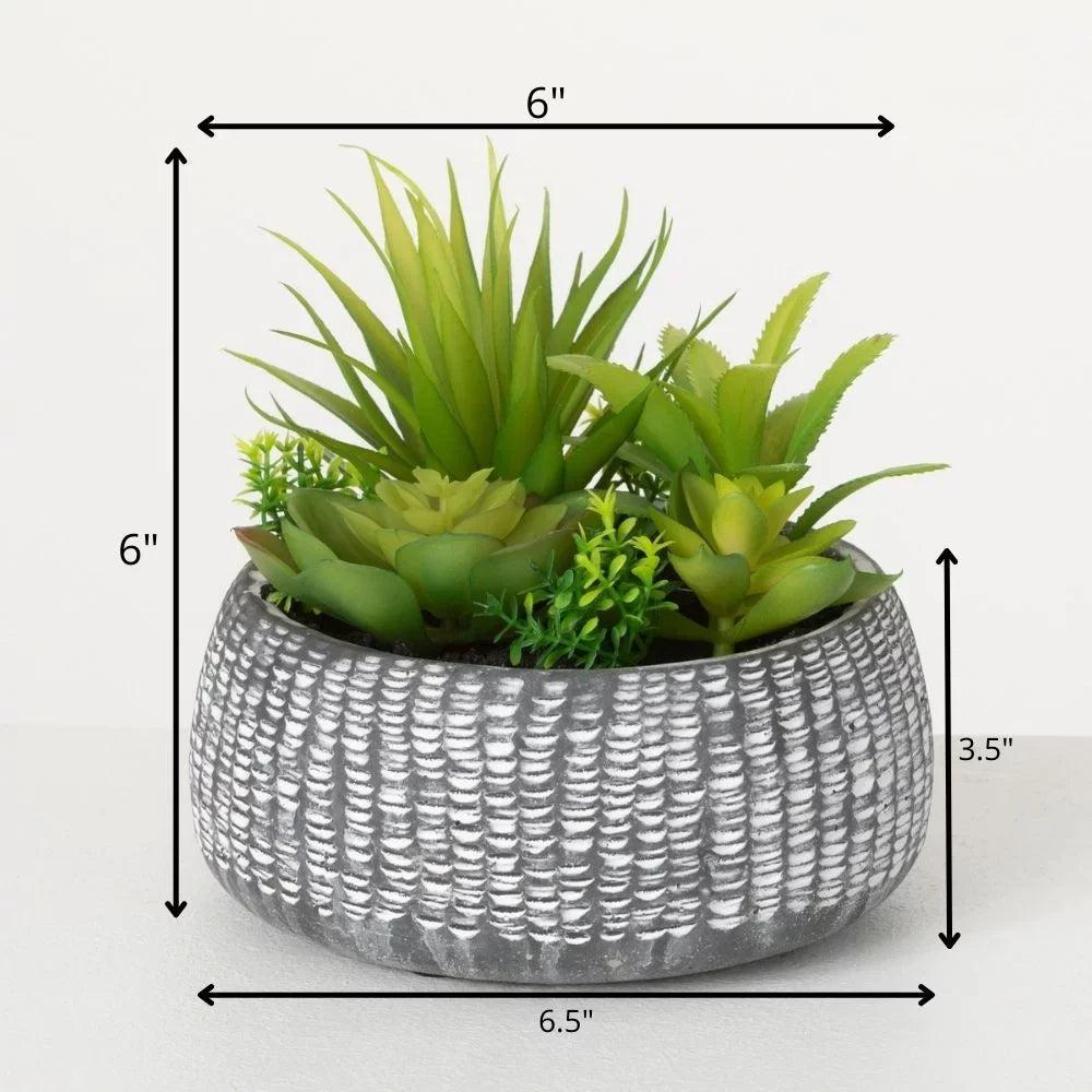 Artificial Green Planter Succulent In 6"H Sullivans Cement