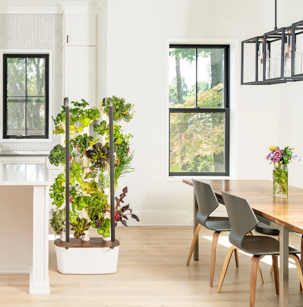 Indoor System System & & | Grow Plants, Smart Lights Garden| Home Gardyn Non-GMO Indoor Vertical Your Garden for 30 Vegetables Gardening LED Herbs & Includes Planter Indoor 3.0 Growing Hydroponics