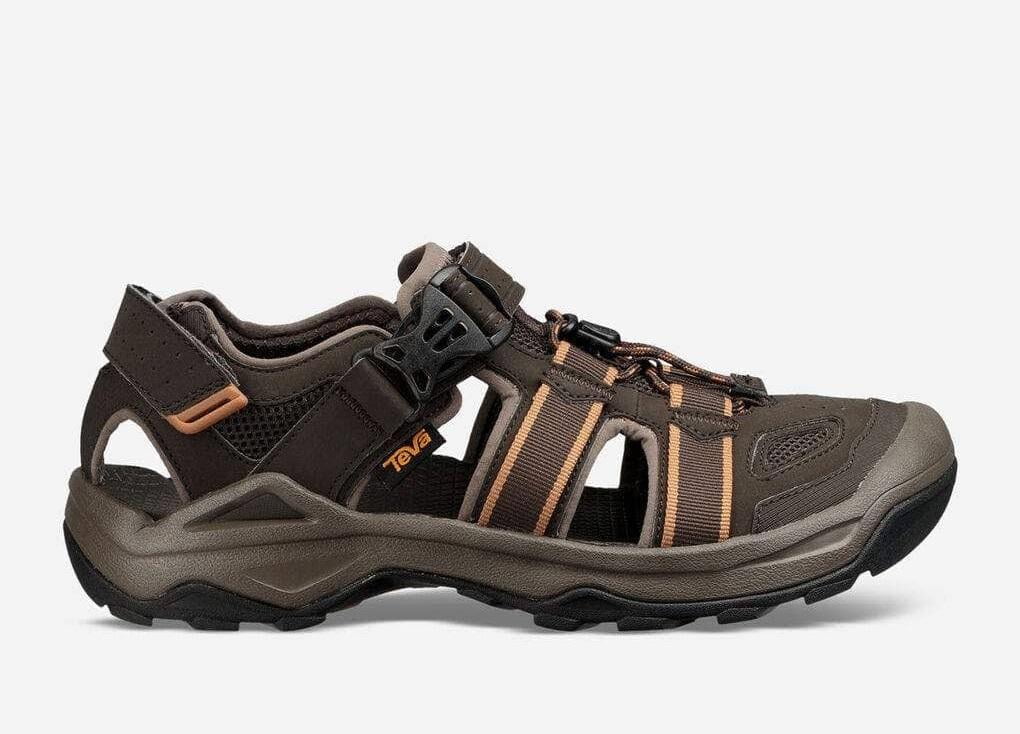 '- Shoes Men's 2 Omnium Teva