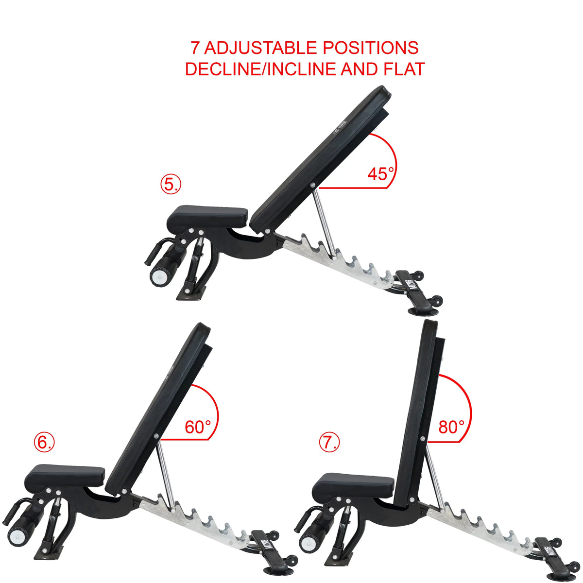 Positions Fitness – -DD-40 Black Duty Flat, Nylon and Weight Bench Incline, Adjustable Including Bench Press, 7 Valor Decline with Wheels Heavy