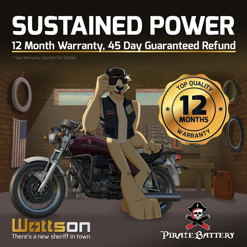 for Y50-N18L-A3 Yamaha Venture/royale 12 1300cc Xvz13 Volt,20 Pirate Ah, Battery CCA) 260 Battery 1987 Motorcycle (50-N18L-A3