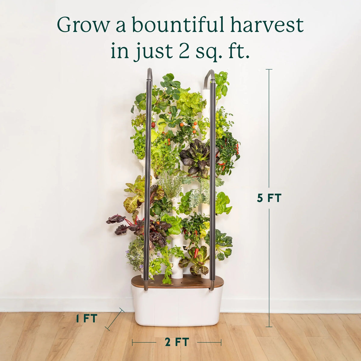 Indoor System System & & | Grow Plants, Smart Lights Garden| Home Gardyn Non-GMO Indoor Vertical Your Garden for 30 Vegetables Gardening LED Herbs & Includes Planter Indoor 3.0 Growing Hydroponics