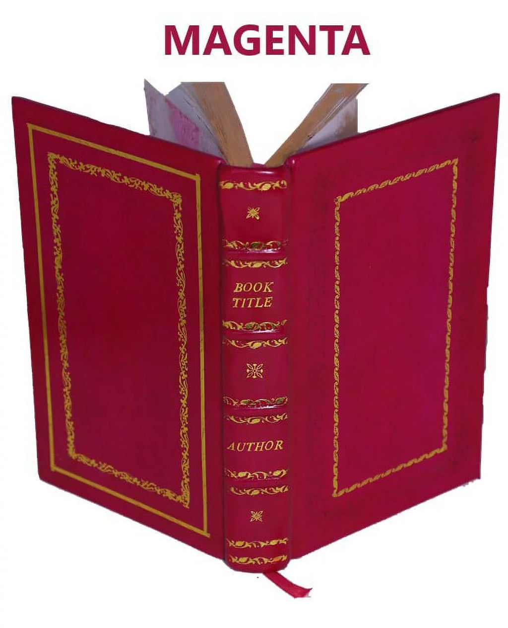 Catalogue Jura Leather 1903 ... Lépidoptères du neuchâtelois des [Premium Bound]