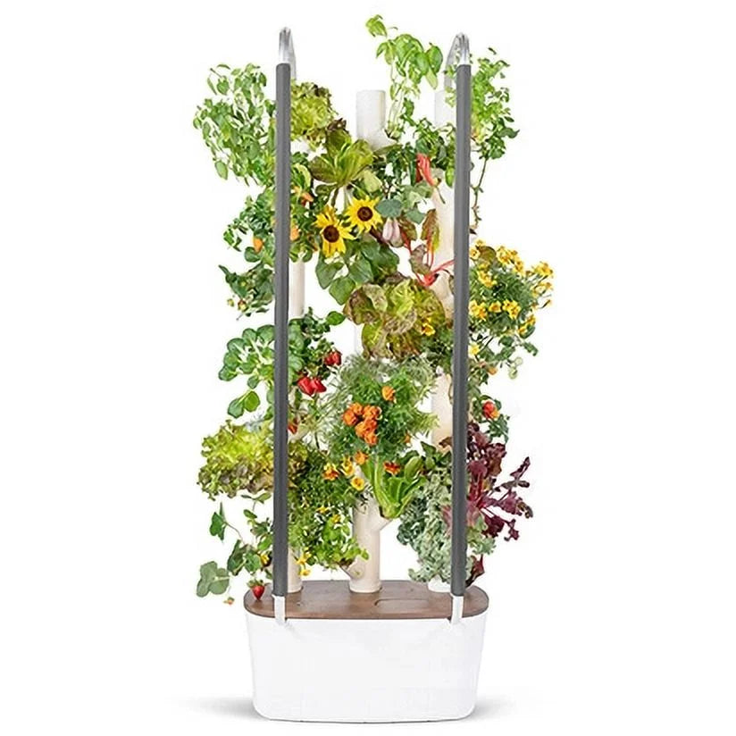 Indoor System System & & | Grow Plants, Smart Lights Garden| Home Gardyn Non-GMO Indoor Vertical Your Garden for 30 Vegetables Gardening LED Herbs & Includes Planter Indoor 3.0 Growing Hydroponics