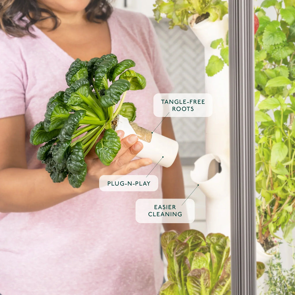 Indoor System System & & | Grow Plants, Smart Lights Garden| Home Gardyn Non-GMO Indoor Vertical Your Garden for 30 Vegetables Gardening LED Herbs & Includes Planter Indoor 3.0 Growing Hydroponics