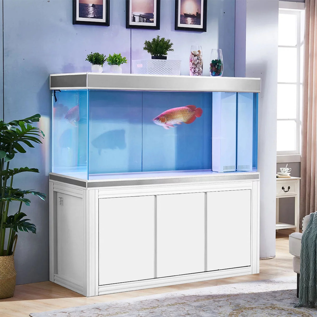 Glass White Aqua Aquarium All-in-one Gallon Dream 235 and Silver Tempered